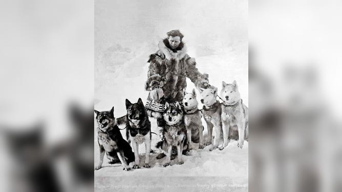 Musher Leonhard Seppala took a sled dog team to deliver serum to Nome during a diphtheria epidemic in 1925. At the time, the weather was too severe for planes to deliver the serum, but the sled dog team was able to push through.