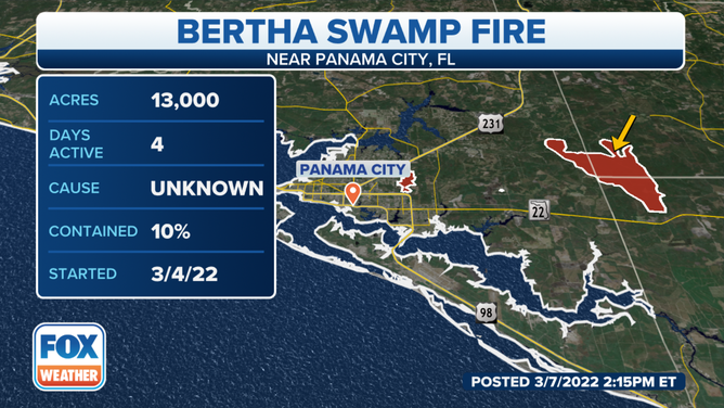Bertha Swamp Fire