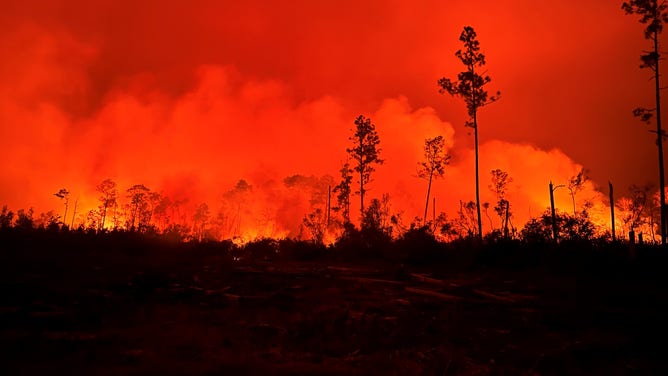Chipola Complex Fire in the Florida Panhandle rages on for 7th day.