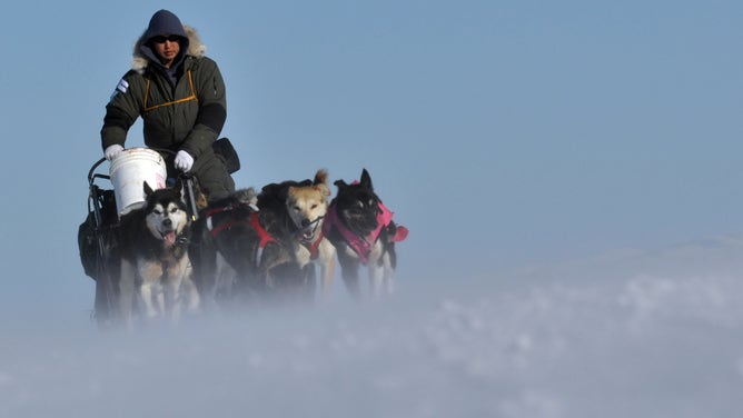 Iditarod musher Mike Williams Jr., from Akiak, Alaska, crosses from Kaltag to the Unalakleet checkpoint amid blowing snow during the 2011 Iditarod Trail Sled Dog Race Sunday morning, March 13, 2011.