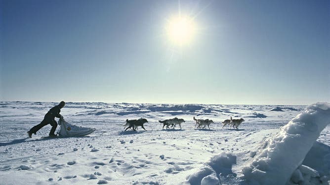A musher and sled dog team in a snowy Alaskan landscape.
