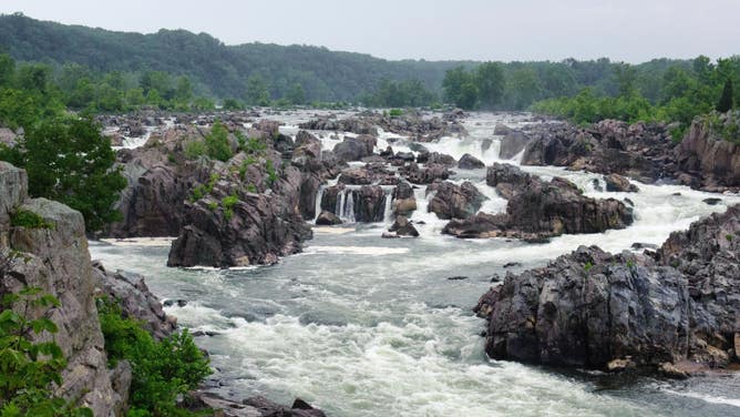 At the northern end of the Potomac Gorge, water crashes over the rapids at Great Falls Park.