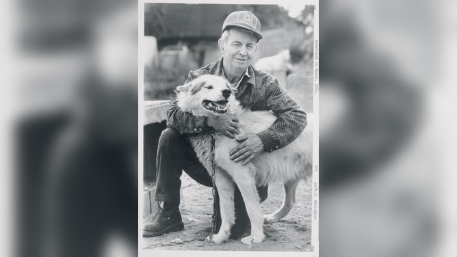 Joe Redington, Sr., founder of the Iditarod Trail Sled Dog Race, hugs one of his sled dogs in 1983.