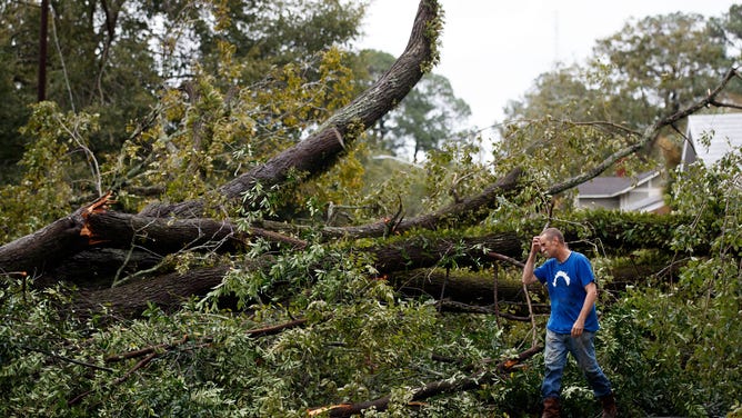 A large tree fell during a storm in Savannah, Georgia in October 2016. 