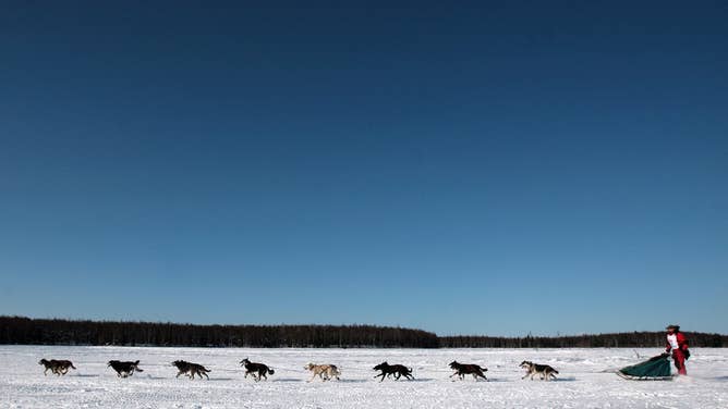 Three time Yukon Quest winner and cancer survivor Lance Mackey mushes his team over frozen Willow Lake as Iditarod XXXV official begins 04 March 2007 in Willow, Alaska.