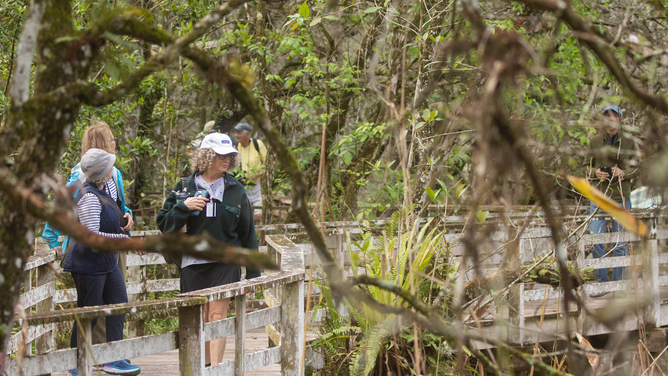 Birders explore the boardwalk at Corkscrew Swamp Sanctuary. Photo: Luke Franke/Audubon.
