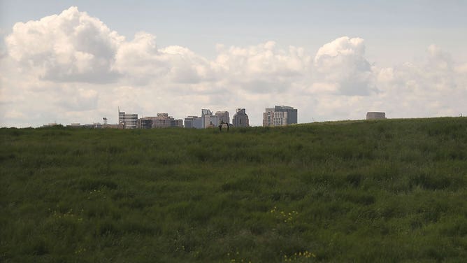 Sacramento, California skyline -- allergies list