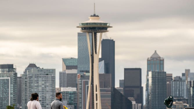 Seattle skyline -- allergies list