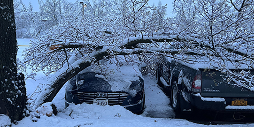‘Trees everywhere’: Thousands in New York still without power after ...