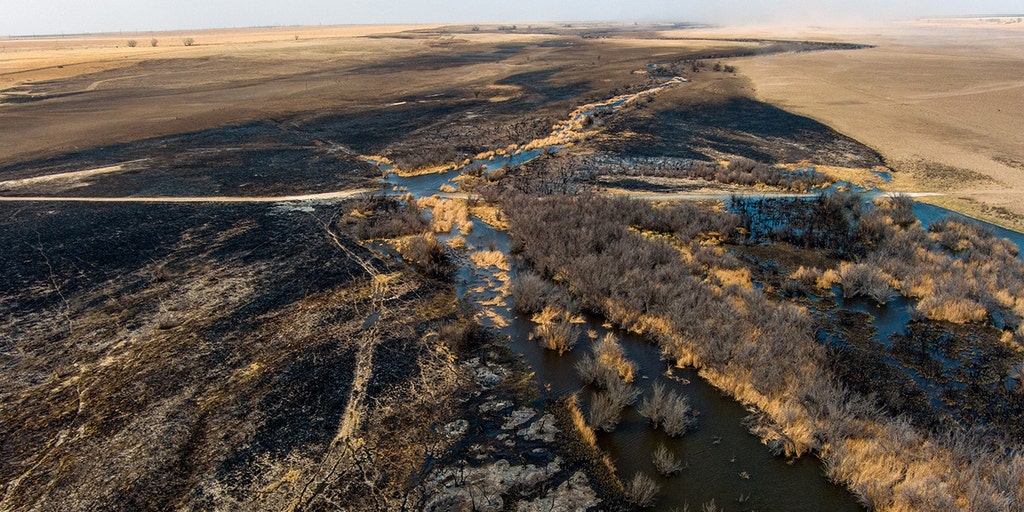 Ranchers risk lives to save herds as 30-foot flames scorch Colorado ...