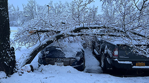 ‘Trees everywhere’: Thousands in New York still without power after heavy snow from nor’easter