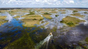 7 things to know about Everglades National Park