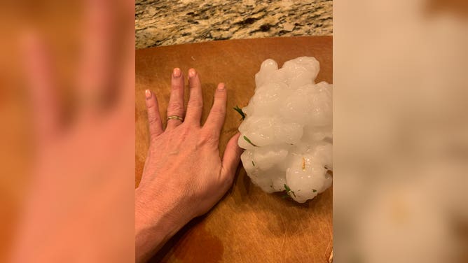 A 5.5-inch hailstone is photographed in Salado, Texas, Tuesday evening, April 12, 2022.