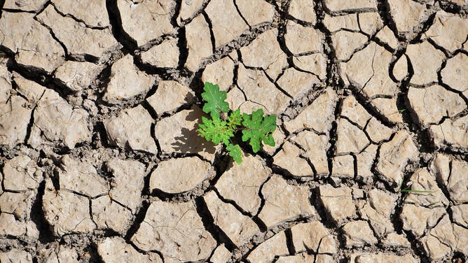 View of parched grounds at Los Laureles reservoir during Earth Day in Tegucigalpa, Honduras, on April 22, 2019. Los Laureles supplies more than 50% of the water to the 1 million-inhabitant Honduran capital city.