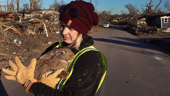 Amanda Nichols holds a pet rabbit that she helped to rescue from underneath the debris of a collapsed home that was destroyed after it was hit by a tornado late Friday evening on December 12, 2021 in Mayfield, Kentucky. Multiple tornadoes touched down in several Midwest states late evening December 10 causing widespread destruction and leaving more than 80 people dead. (Photo by Scott Olson/Getty Images)