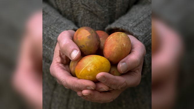 Traditional dying methods in England create Pace eggs.
