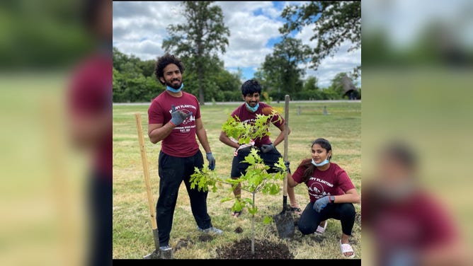 Some "Happy Little Trees" are planted after being raised in Michigan Department of Corrections facilities. (Image: Michigan DNR Parks and Recreation)