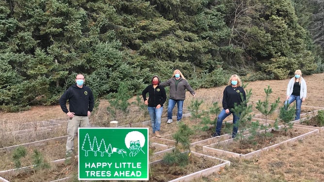 Some "Happy Little Trees" are planted after being raised in Michigan Department of Corrections facilities. (Image: Michigan DNR Parks and Recreation)