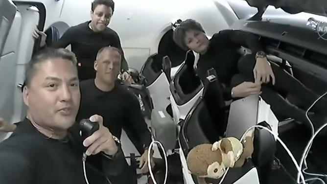 NASA astronauts Kjell Lindgren (front left), Bob Hines (middle), Jessica Watkins (back left) and ESA astronaut Samantha Cristoforetti (right) along with their zero-g indicators "Zippy" the turtle and "Etta" the monkey inside the Crew Dragon spacecraft. (Image: NASA/SpaceX)