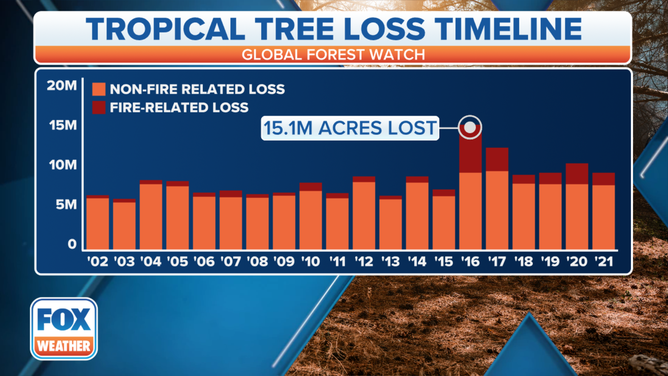 Tropical tree loss over the years due to fires and other related causes. Data from the Global Forest Watch.