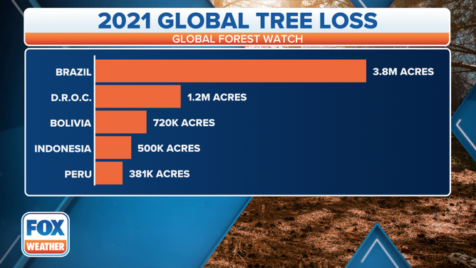 Top areas with tree loss for 2021, according to Global Forest Watch data.