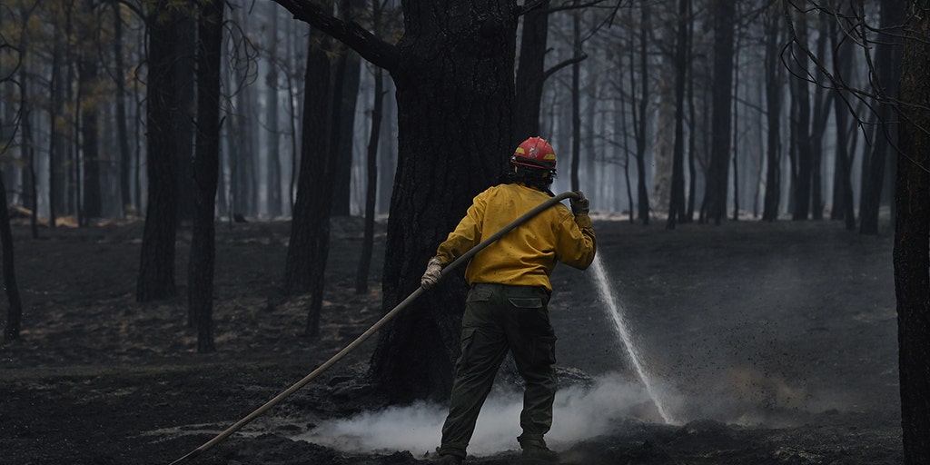 Largest fire in New Mexico history caused by planned burns, federal