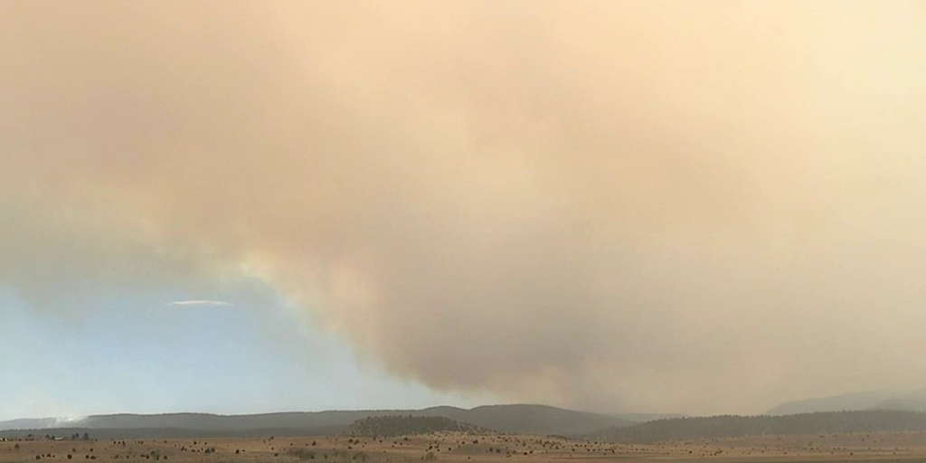 ‘Never seen anything like this’ New Mexico fire burns more than