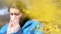 The most common fall allergies that startle your senses – and where it's the worst