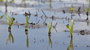 'You can take a boat across it': Flooded fields stall Iowa corn farmers in slowest planting season in 9 years