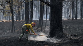 Hermits Peak, Calf Canyon Fire nearly halfway contained as suppression efforts continue