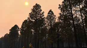 Hazardous air quality levels expected in New Mexico as wildfire smoke fills the air