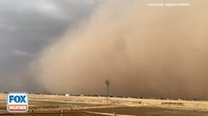 Haboob wrangles Texas Panhandle with dust driven by powerful winds