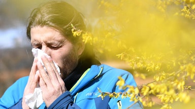 The most common fall allergies that startle your senses – and where it's the worst