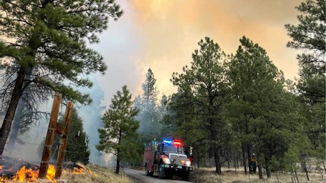 Division Bravo and Charlie crews battle the Calf Canyon/Hermits Peak wildfires in May 2022. (Image: U.S. Forest Service -Sante Fe National Forest)