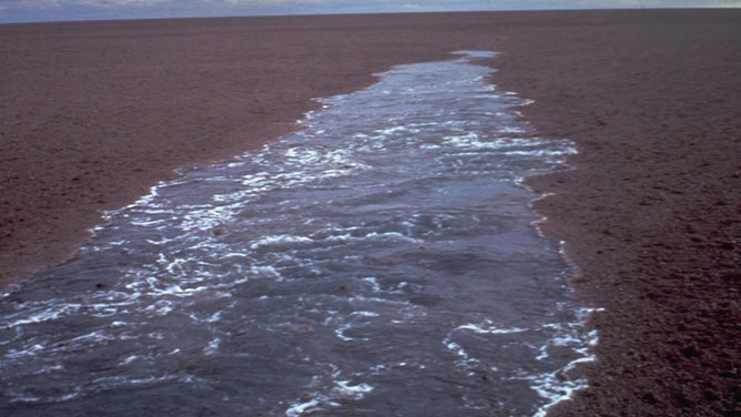 A raft of floating pumice from a July 1973 submarine eruption behind the wake of a ship. This was the first report of an eruption from the Curacoa submarine volcano in the northern Tonga Islands. (Photo by the "Port Nicholson," 1973 (courtesy of Tom Simkin, Smithsonian Institution).