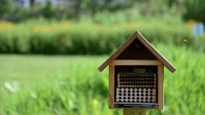 The bee house in the arboretum at the Reading Public Museum. It is a home for leafcutter bees and mason bees. Photo by Lauren A. Little (Photo By Lauren A. Little/MediaNews Group/Reading Eagle via Getty Images)