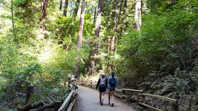 Two hikers walk together along a trail at Muir Woods National Monument, Mill Valley, California, September 5, 2016.