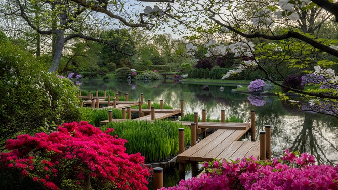 The Japanese Garden in the Missouri Botanical Garden.