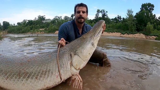 Texas trophy: Man hooks 300-pound alligator gar outside Houston