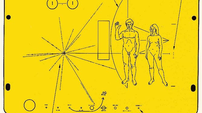 The images on the Pioneer spacecraft plaque. (Image: NASA)