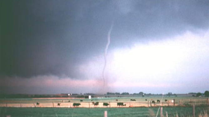Example of rope tornado