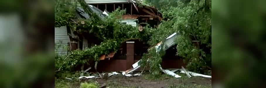 Mother killed, daughter injured after winds topple tree onto South Carolina home