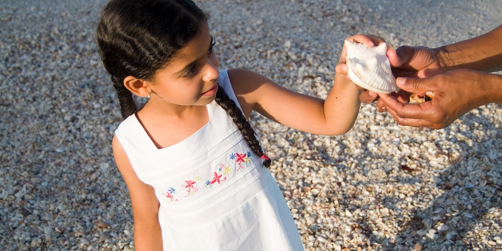 Beach Tourists Who Collect Shells May Be Harming the Environment