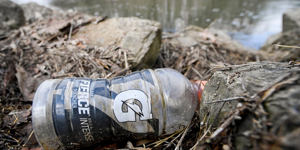 State Parks And Your Wallet: Do They Take Plastic? 💳