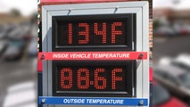 5 children die in hot cars over 8 days as advocates join families to demand action