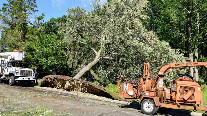 An EF-1 tornado uprooted a large tree in Gloucester Township, New Jersey, on Thursday, June 9, 2022.
