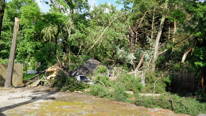 An EF-1 tornado knocked down numerous trees in Gloucester Township, New Jersey, on Thursday, June 9, 2022.