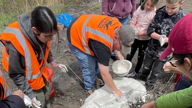 Paleontologist JP Hodnett and his team apply plaster to a large bone at Dinosaur Park in Maryland.