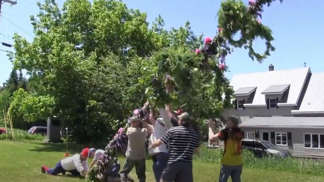 Raising the Midsommar pole.