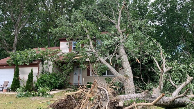 An EF-1 tornado knocked down a tree onto a house in Gloucester Township, New Jersey, on Thursday, June 9, 2022.